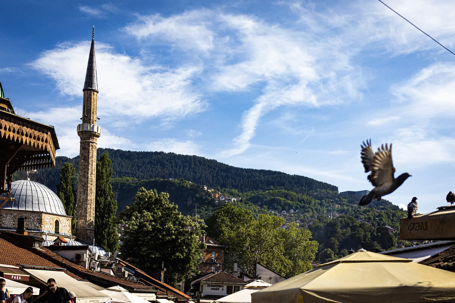 Minarets, rooftops and a pigeon in flight over Baščaršija, Sarajevo