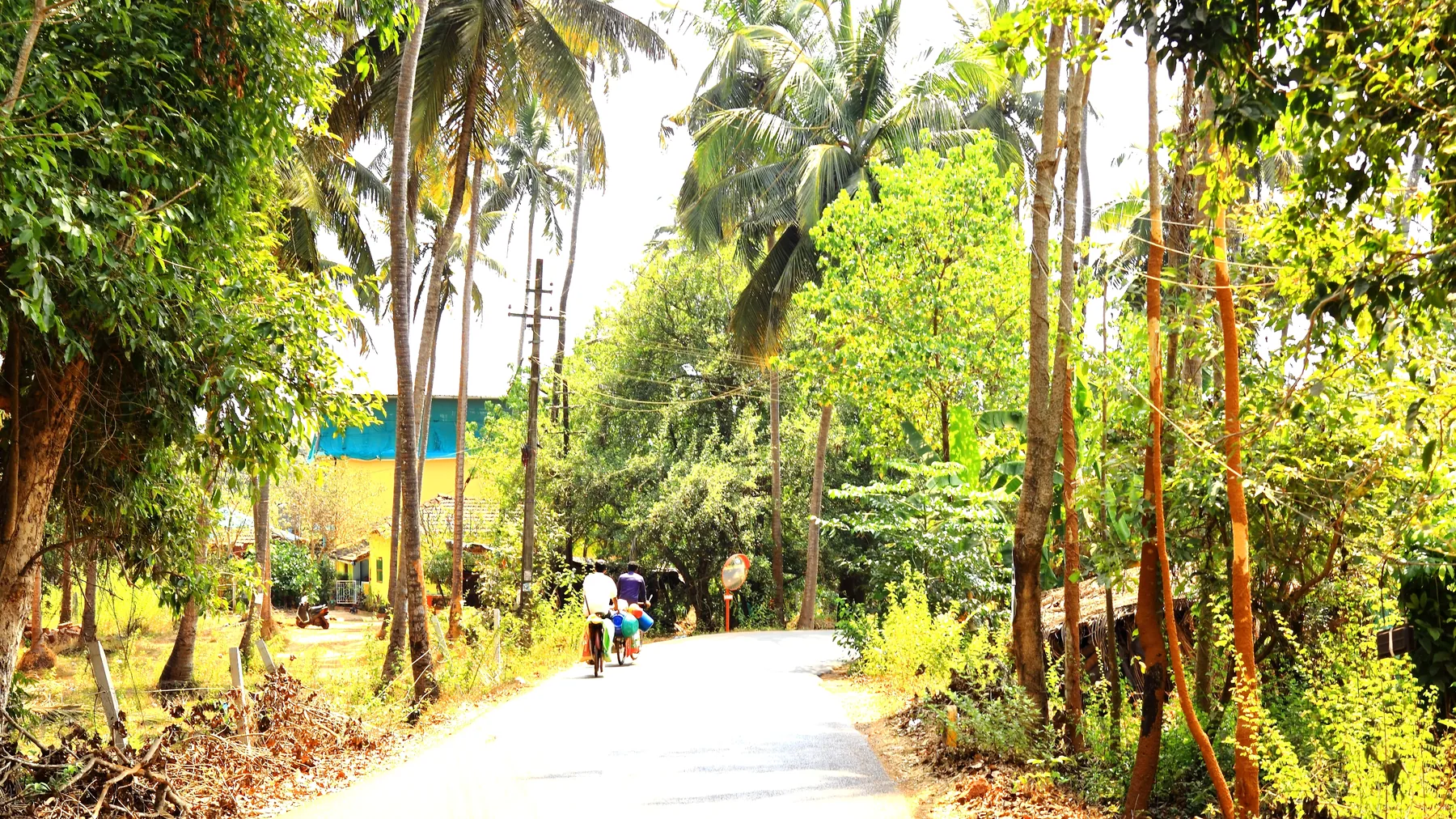 Extraordinary ordinary India — photograph by Telford Vice