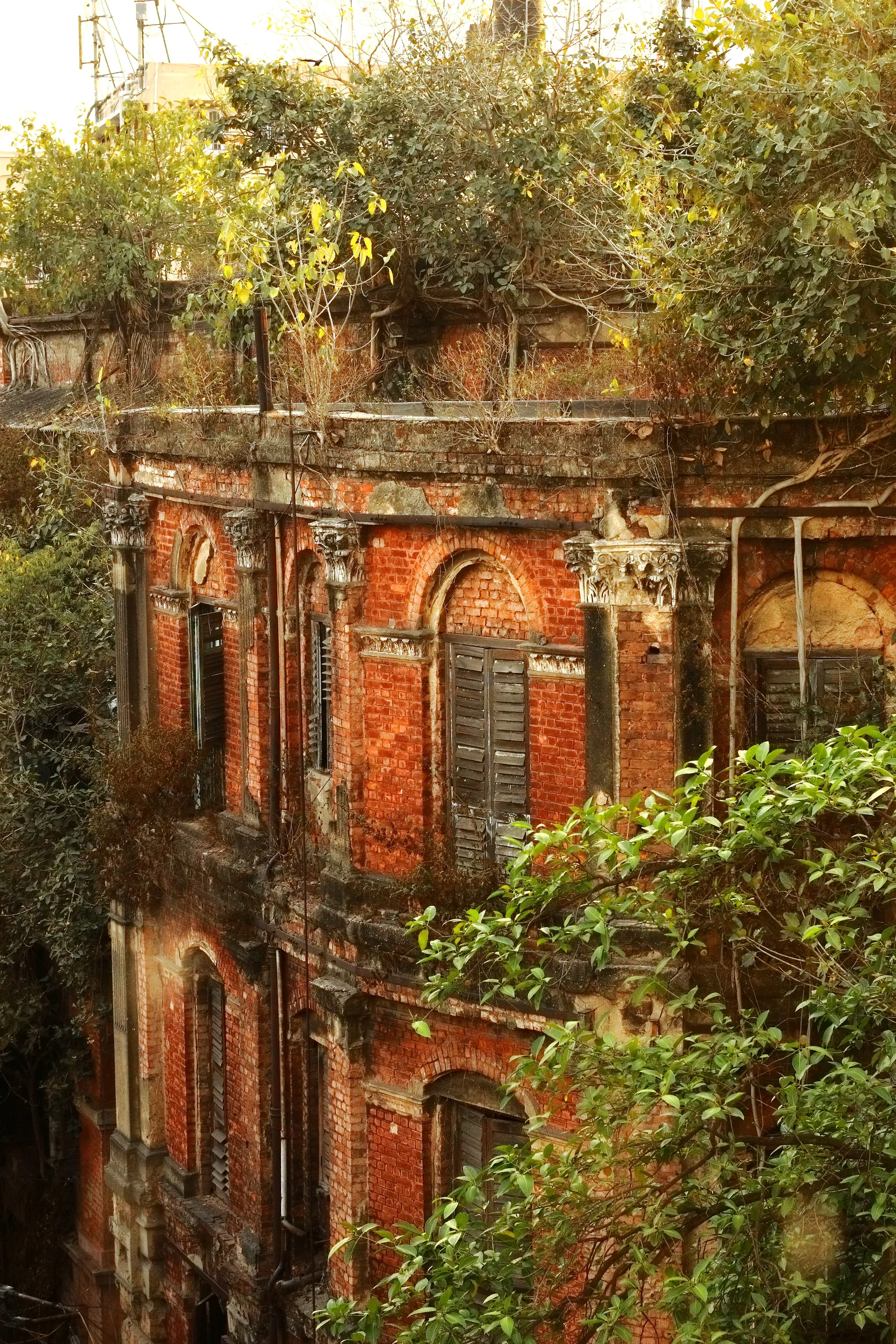 Extraordinary ordinary India — photograph by Telford Vice
